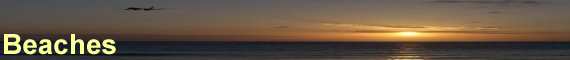 Beaches header