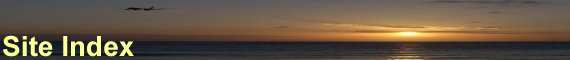 Site index header