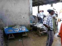 Of course it's fresh