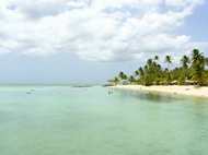 Pigeon Point from pier.